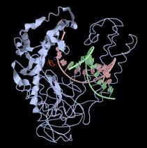 Klentaq1 Enzyme