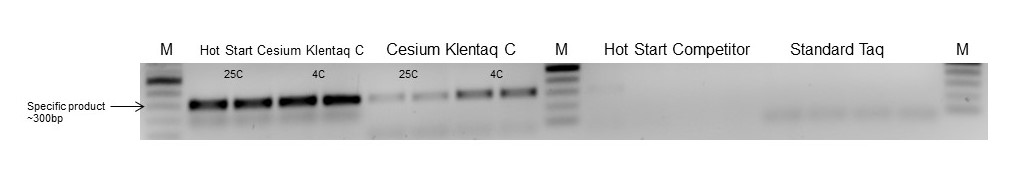 Hot Start Omni Klentaq C outperforms its standard counterpart and competitors in whole blood