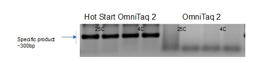 Hot Start OmniTaq 2 improves amplification