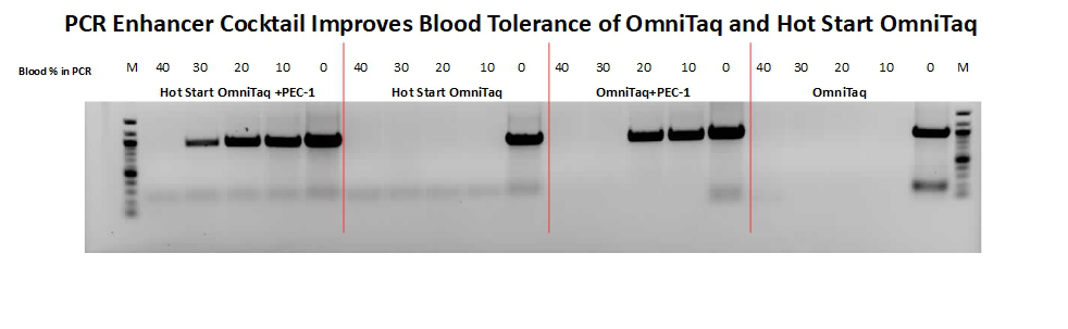 PEC increases blood tolerance for OmniTaq and Hot Start OmniTaq