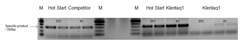 Hot Start Klentaq outperforms Klentaq1 and a Hot Start competitor