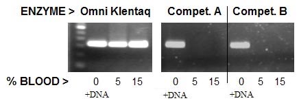 Whole blood PCR results showing the performance of Omni Klentaq targeting the Dystrophin gene