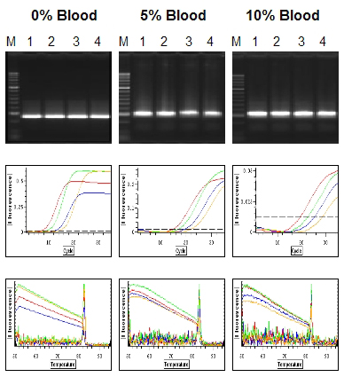 OmniTaq PCR results at 0, 5, and 10% blood