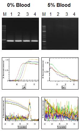 Competitor Taq B fails with 5% blood