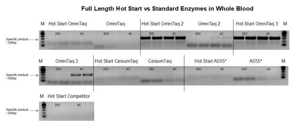 Our Full Length Hot Start Enzymes outperform their standard counterparts in blood