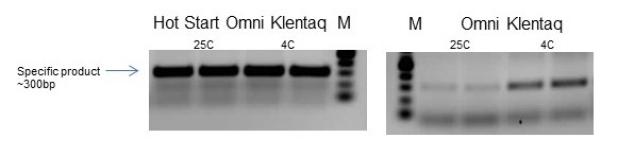 Hot Start Omni Klentaq outperforms its standard counterpart