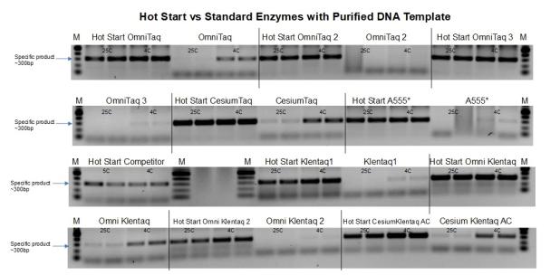 Our Hot Start Enzymes outperform their standard counterparts with purified DNA