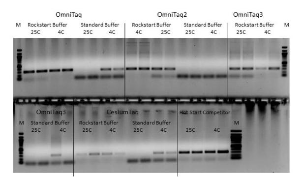 RockStart Buffer provides a Hot Start with Full Length Taq Mutant Enzymes