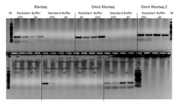 RockStart Buffer provides a Hot Start with Truncated Klentaq Mutant Enzymes