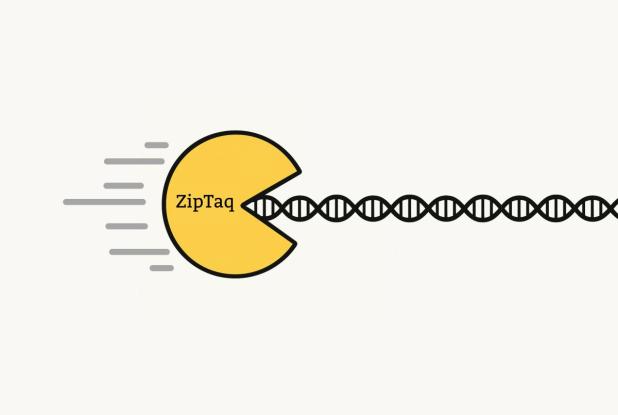 Zip Taq Logo
