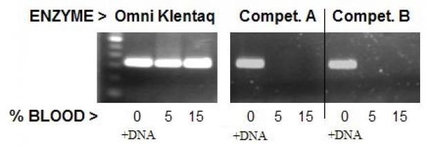 Whole blood PCR results showing the performance of Omni Klentaq targeting the Dystrophin gene