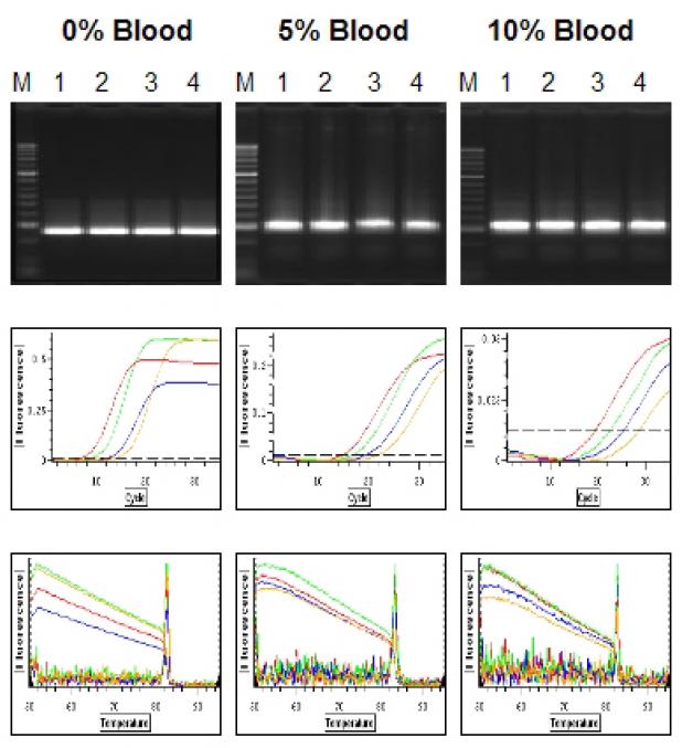 OmniTaq PCR results at 0, 5, and 10% blood