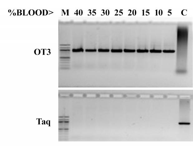 New Taq mutant dramatically outperforms the wild type Taq  and remains functional in at least up to 40% blood.