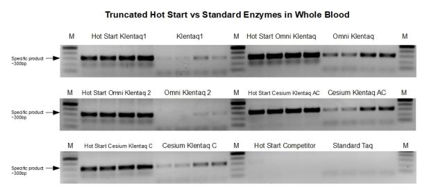 Our Truncated Hot Start Enzymes outperform their standard counterparts in blood