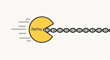 Zip Taq Logo